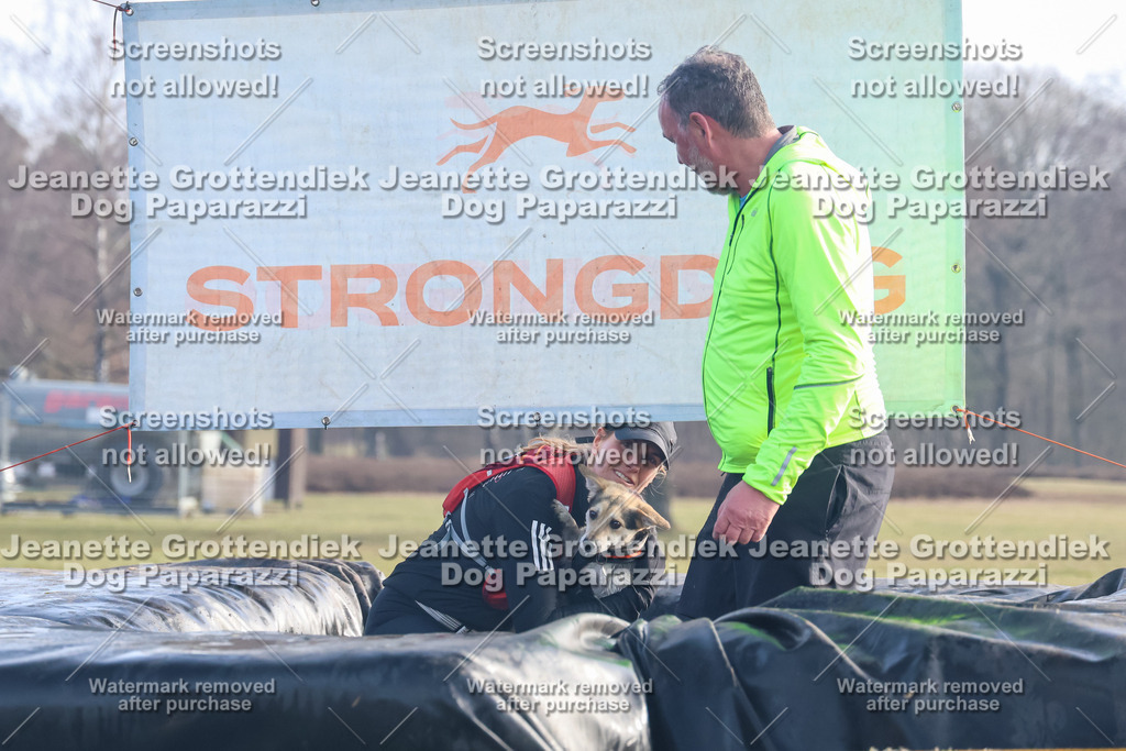 Dog Paparazzi - Strongdog North Mrz26-565 | Dog Paparazzi Jeanette Grottendiek Fotografie & Videografie - Realisiert mit Pictrs.com