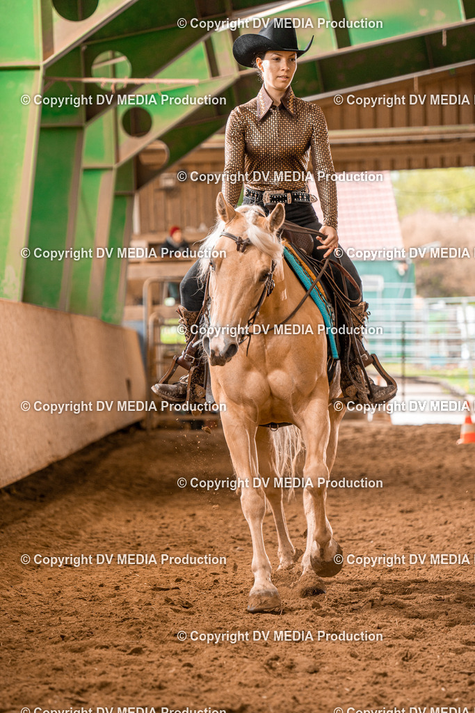 BAL00511 | dv-media-shop - Realisiert mit Pictrs.com