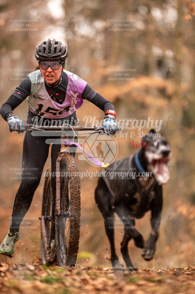 AKM_ST_2023_SAM_Scooter-14 | PayLife