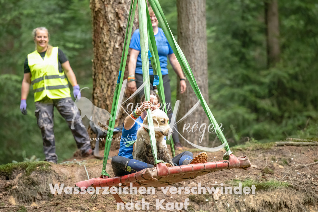 1146_ZZ90447-Bearbeitet | kk-dogfotos