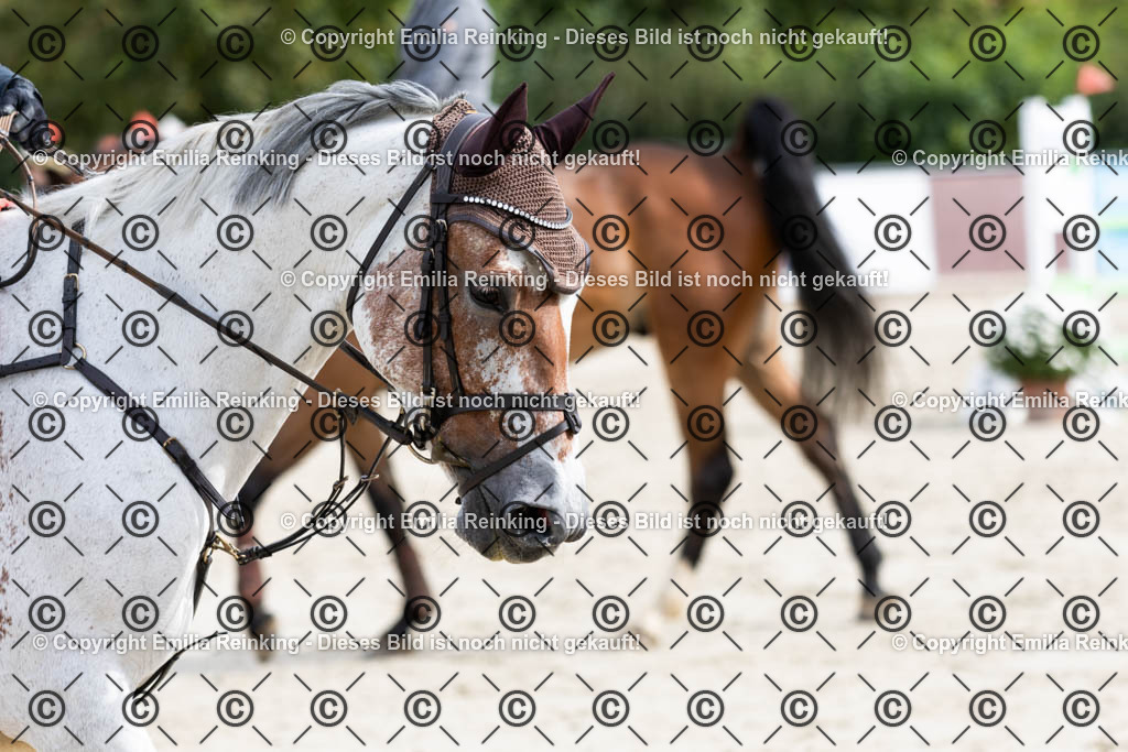 CL5A9728 | Emilia Reinking Fotografie - Realisiert mit Pictrs.com