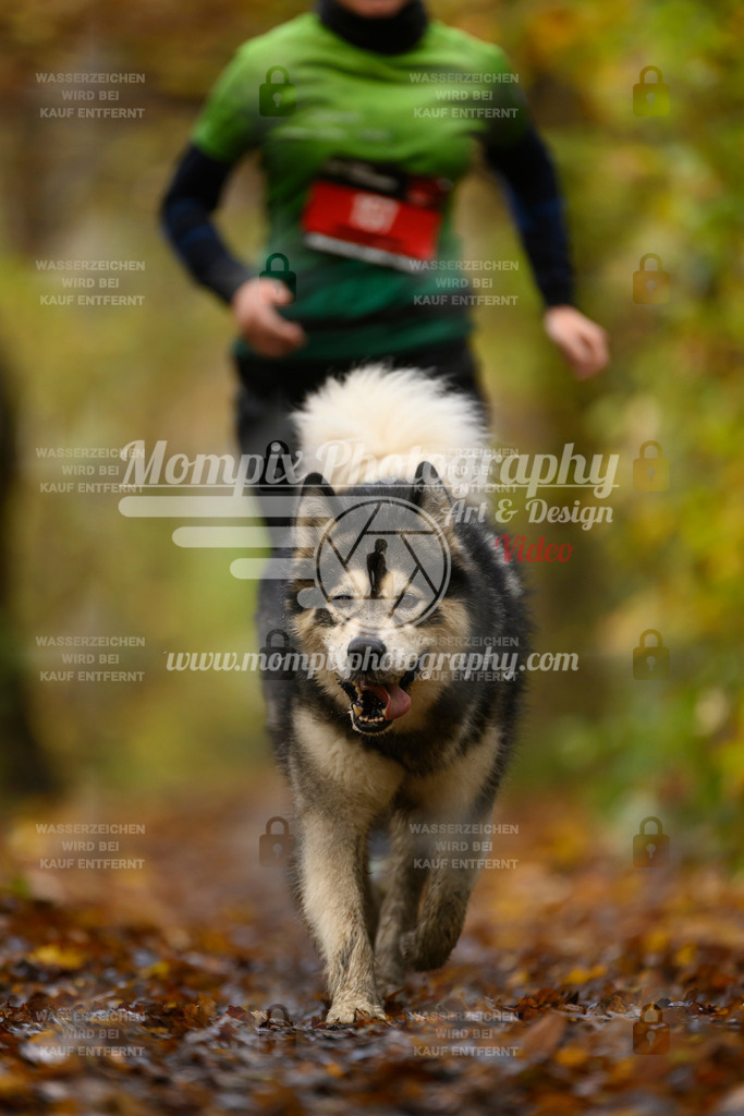 MompixPhotography_CD7S_DI_CCL-187 | mompixphotography