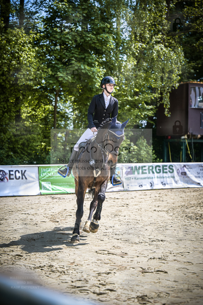 DOS_9655 | Entdecke hochwertige Reitturnierfotos von Foto Oger. Professionell, emotional und authentisch – jetzt Lieblingsmomente im Shop bestellen. - Realisiert mit Pictrs.com