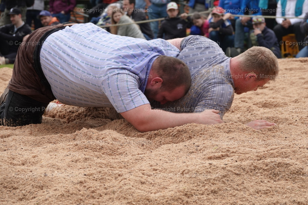 DSC04095 | Schwingen - Realisiert mit Pictrs.com