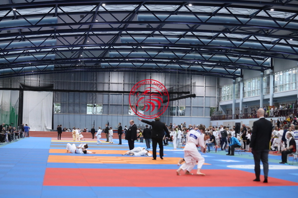 1J7A2259 | Fotos vom Adler Cup - Pictures from Adler Cup

Hier findet Ihr alle Eindrücke und großen Momente der Adler Cup Wochenenden. Here you will find all impressions and great moments of the Adler Cup weekends. - Realisiert mit Pictrs.com