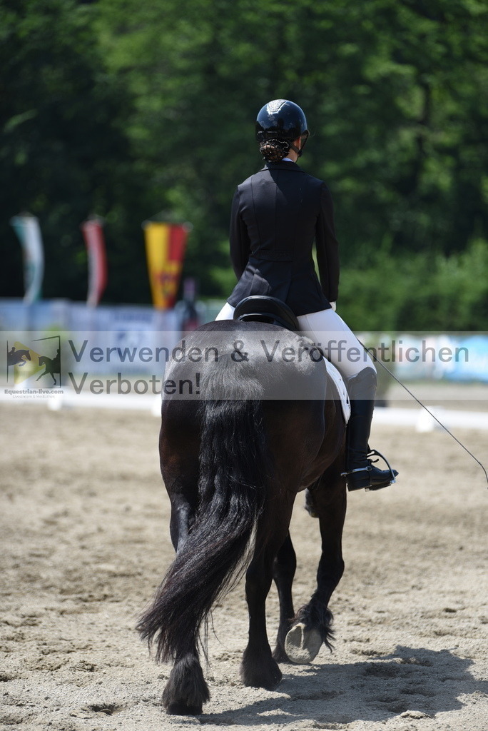 DSC_0495 | equestrian-live-com