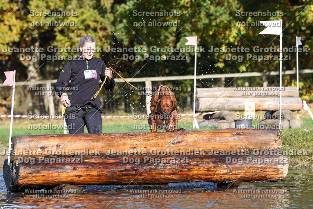 Dog Paparazzi - Strongdog 10-25-8657 | Dog Paparazzi Jeanette Grottendiek Fotografie & Videografie - Realisiert mit Pictrs.com