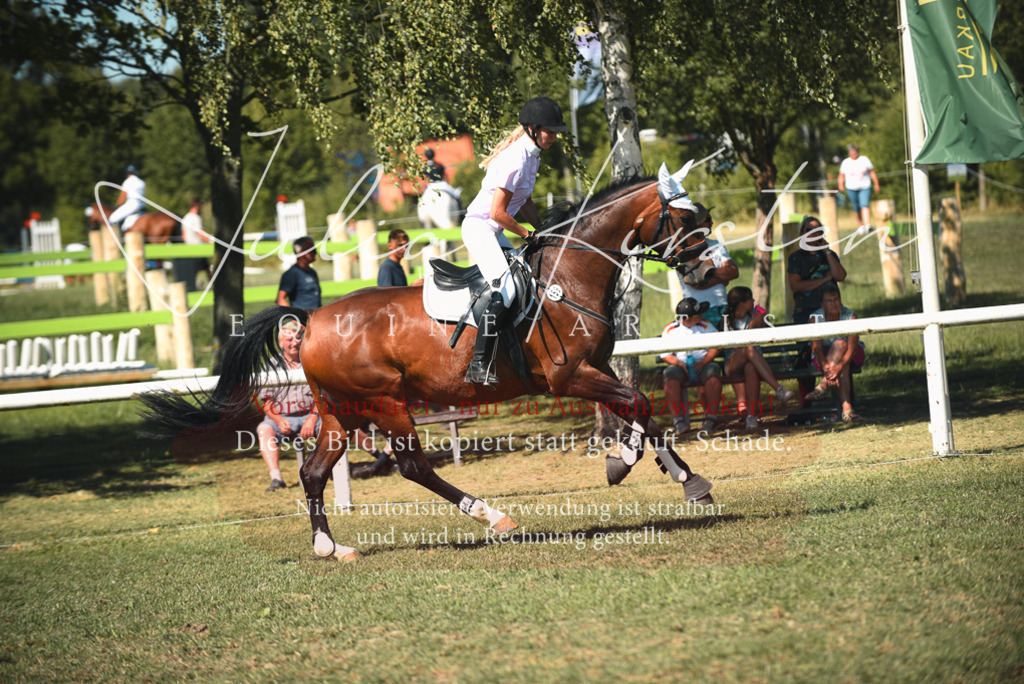 DSC_7173 | Pferde- und Turnierfotografie in Westsachsen. Pferdeportraits, Auftragszeichnungen und intuitive Kunst.