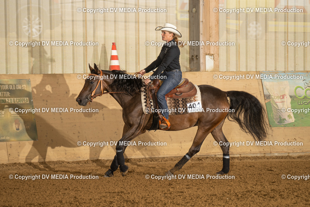 LAU00542 | dv-media-shop - Realisiert mit Pictrs.com