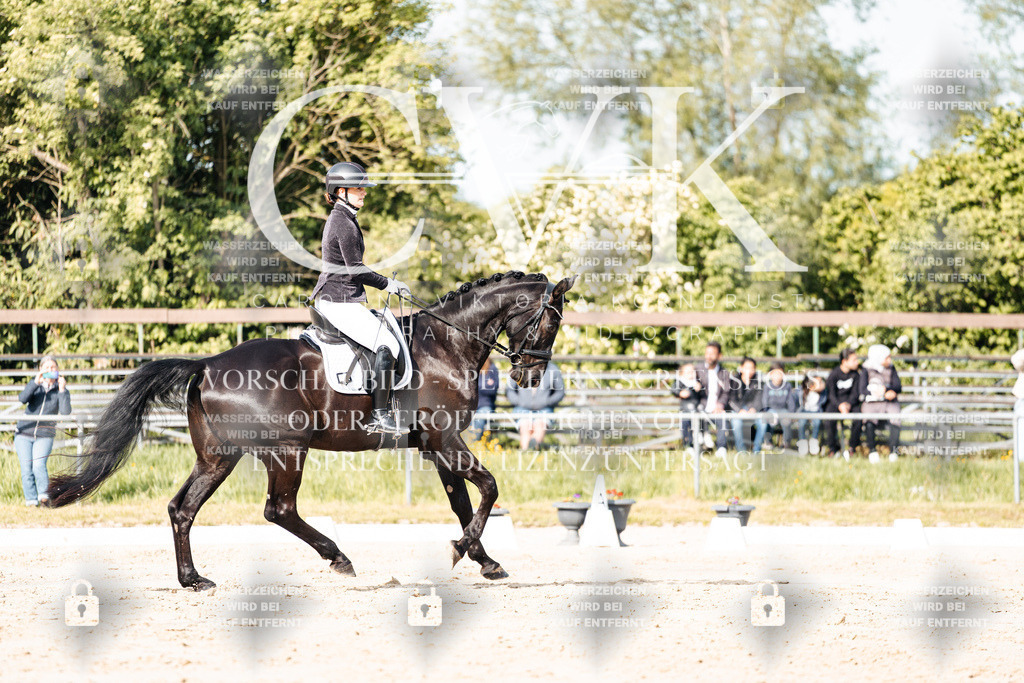 CK900195 | Turnierfotografie Pferdefotografie Trier Rheinland-Pfalz Pferdesport Reitsport Tierfotografie Sportfotografie Pferdevideo Pferdevideografie Equestrianvideography equestrianphotography  - Realisiert mit Pictrs.com