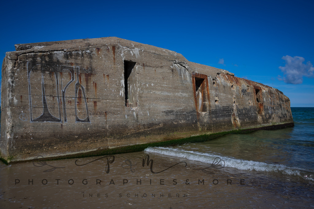 _Sommer2022-0590 | Photographies and more - Realisiert mit Pictrs.com