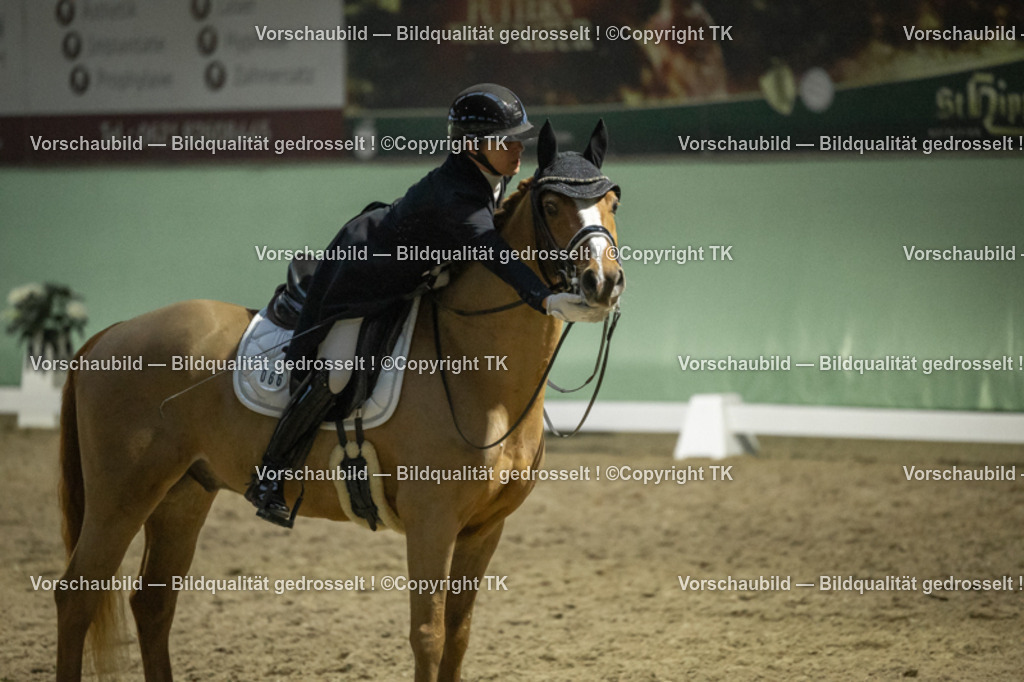 _D5A7261 | Emotionale Pferde- & People-Fotografie rund um Heidelberg, Leimen & Umgebung. Natürliche Fotos von Pferd, Mensch & Familie. Jetzt Termin sichern!