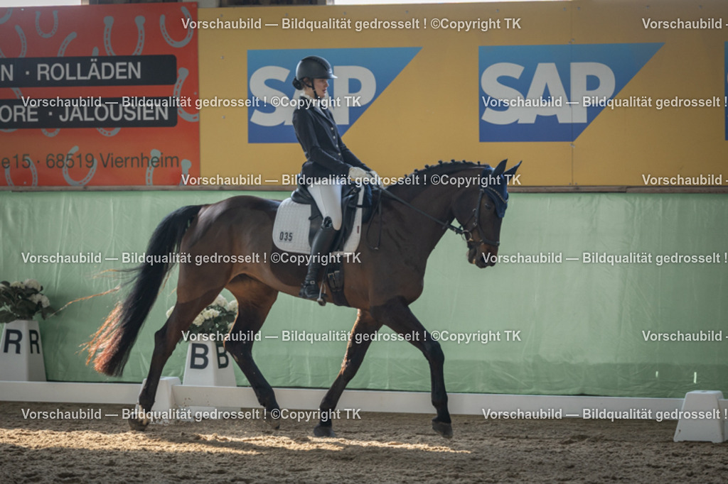 _D5A8346 | Emotionale Pferde- & People-Fotografie rund um Heidelberg, Leimen & Umgebung. Natürliche Fotos von Pferd, Mensch & Familie. Jetzt Termin sichern!