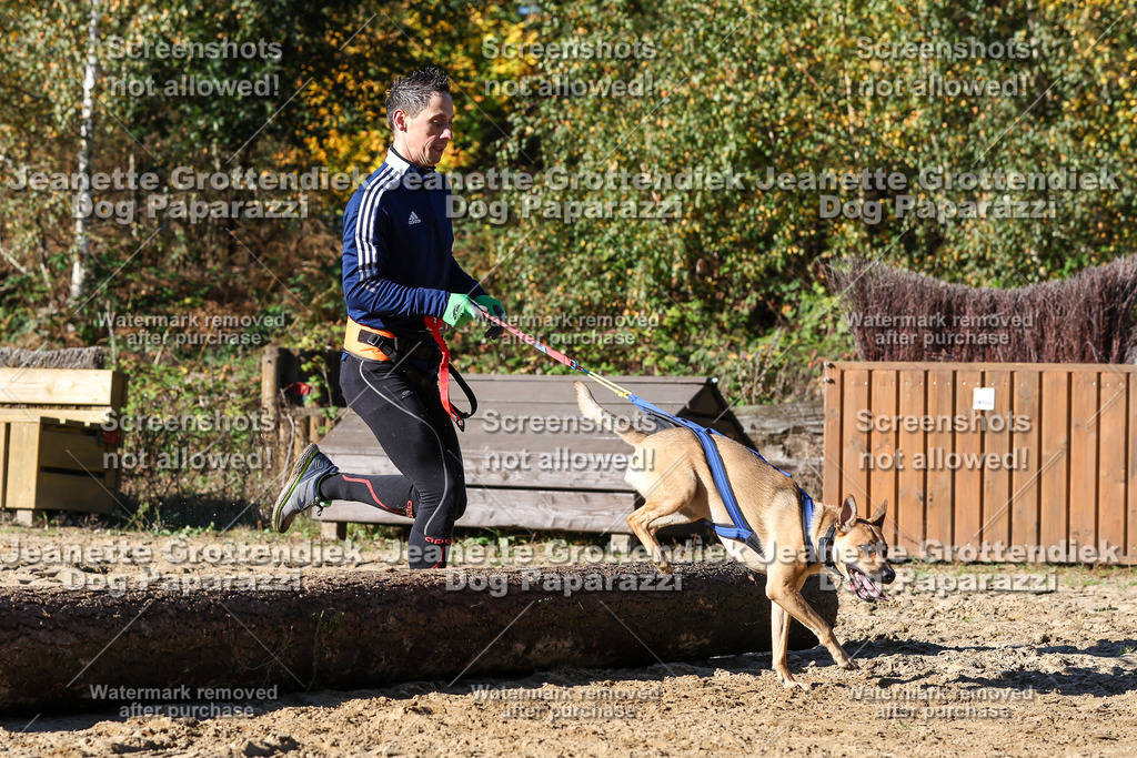 Dog Paparazzi - Strongdog 10-25-2558 | Dog Paparazzi Jeanette Grottendiek Fotografie & Videografie - Realisiert mit Pictrs.com