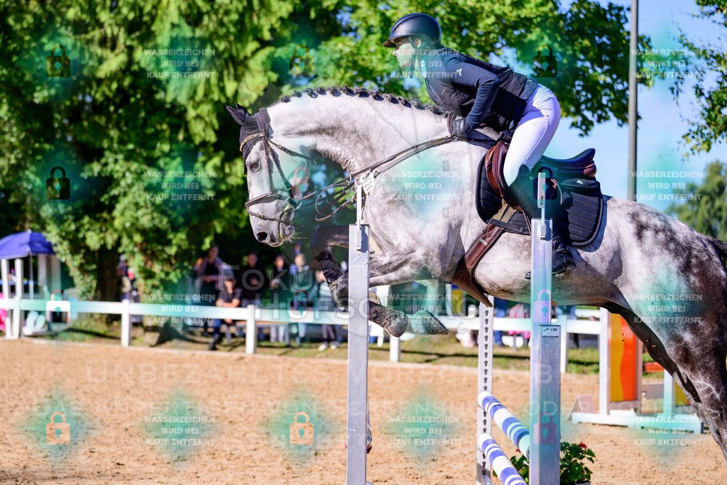 30082026-Giesenbach-Prfg16-0098 | Fokus Hufschlag Fotografie - Realisiert mit Pictrs.com