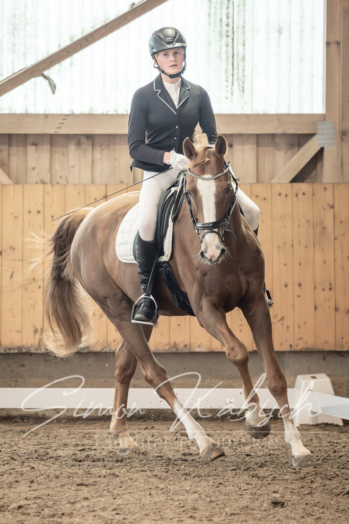 20251011-_3LI7062 | Tierfotografie Pferde, Hunde, Katzen, Haustiere.
Turnierfotografie Reitturniere, Reiten, Springreiten, Dressur in Hanau, dem Main-Kinzig-Kreis und dem Rhein-Main- Gebiet um Frankfurt