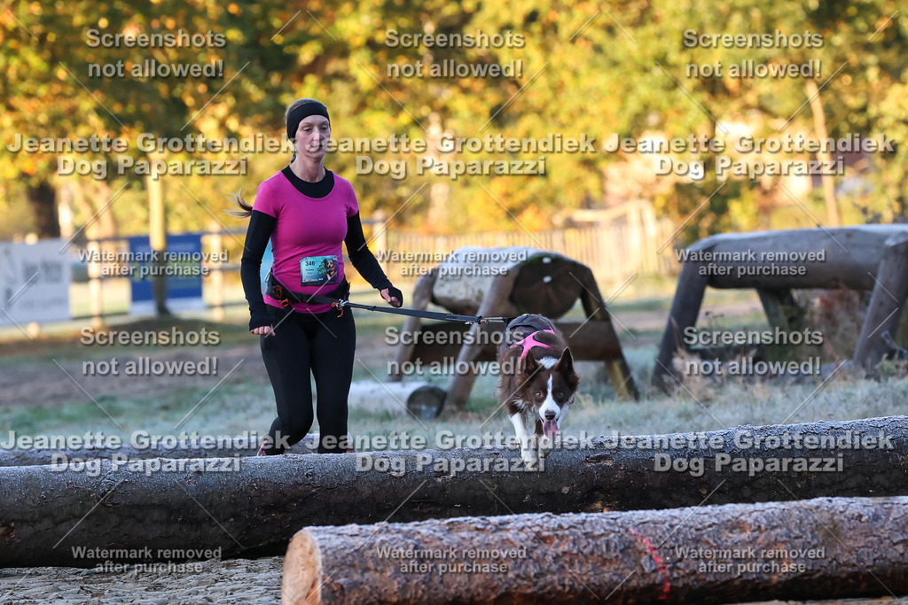 Dog Paparazzi - Strongdog 10-25-371 | Dog Paparazzi Jeanette Grottendiek Fotografie & Videografie - Realisiert mit Pictrs.com