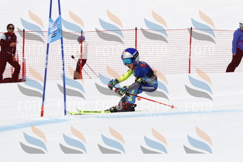 _U3G6468 | holidayphoto