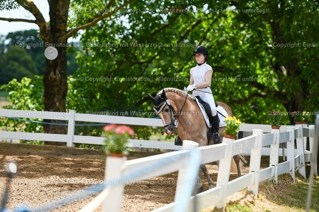 20230715_05_Dressurprüfung Kl.A++_0088 | equistock