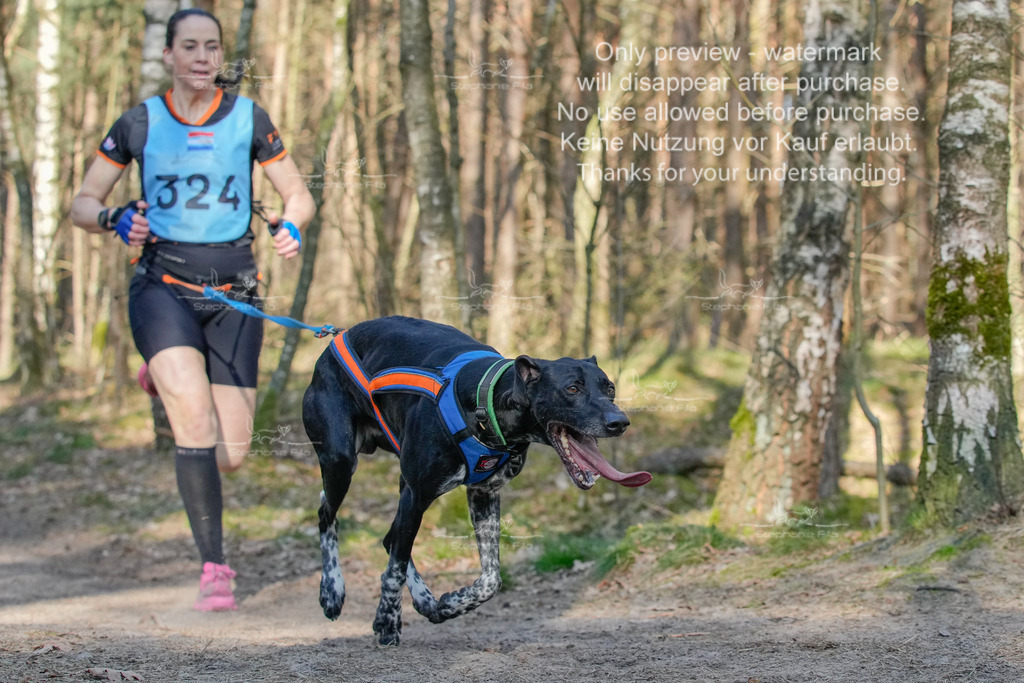 Sa_CC_short-89 | stephaniefillaphotographie - Realisiert mit Pictrs.com