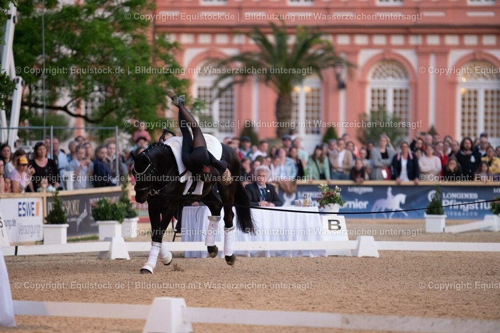20230527_Voltigieren_NASPA_Flutlicht_0201 | equistock