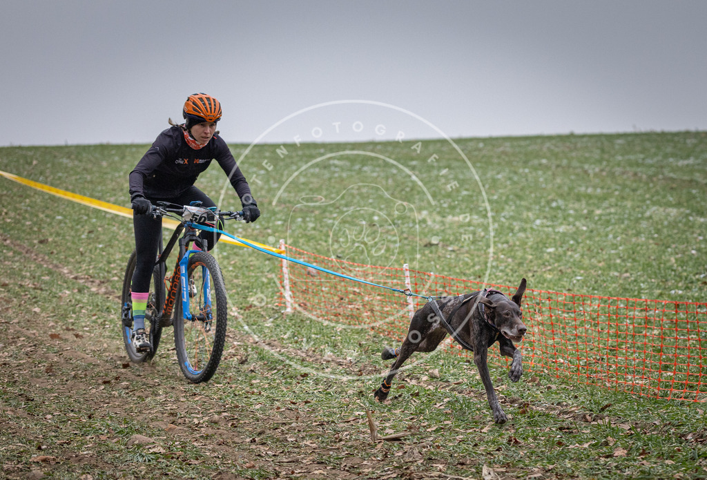 Pfotenfotografie_DV3A1045 | Hundefotografie, Tierfotograf, Pfotenfotografie, Fotoshooting Hund, Hunde Portrait, Hundesport, Hundeportraits, Heideshooting, Hunde, Sportfotograf, Hundefotograf, Turnierhundsport, THS,  - Realisiert mit Pictrs.com