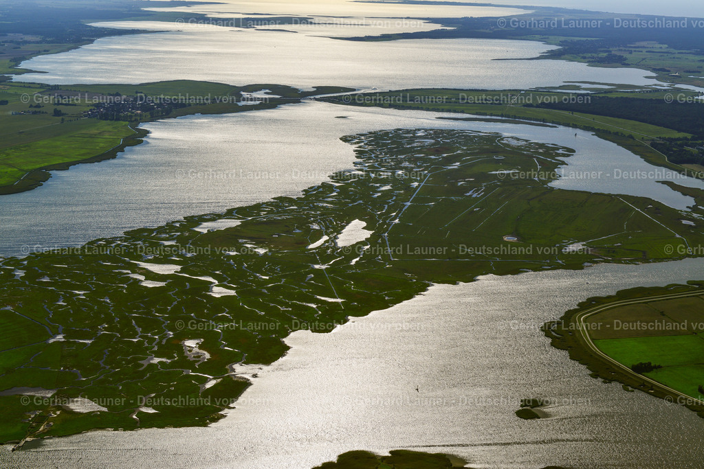 3638217 | Große Kirr, Nationalpark Vorpommersche Bodenlandschft, ZINGST 25.08.2016 Salzgrasland- Insel und Vogelschutz- Gebiet in Zingst an der Ostseeküste im Bundesland Mecklenburg-Vorpommern, Deutschland.