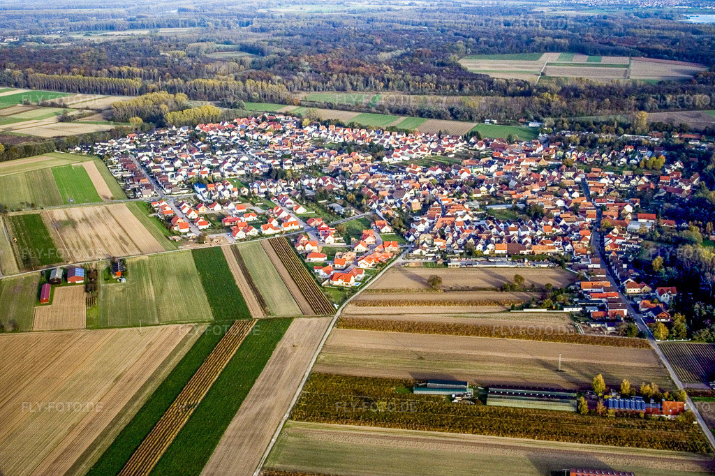 Luftbild: Dorf von Westen in Hördt im Bundesland Rheinland-Pfalz in Deutschland. Foto: IMG_4568.jpg vom 10.11.2006 durch Werner Riehm/FLY-FOTO.de