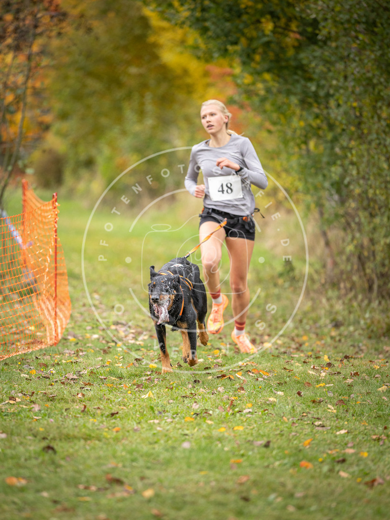 Pfotenfotografie_DV3A2417 | Hundefotografie, Tierfotograf, Pfotenfotografie, Fotoshooting Hund, Hunde Portrait, Hundesport, Hundeportraits, Heideshooting, Hunde, Sportfotograf, Hundefotograf, Turnierhundsport, THS,  - Realisiert mit Pictrs.com