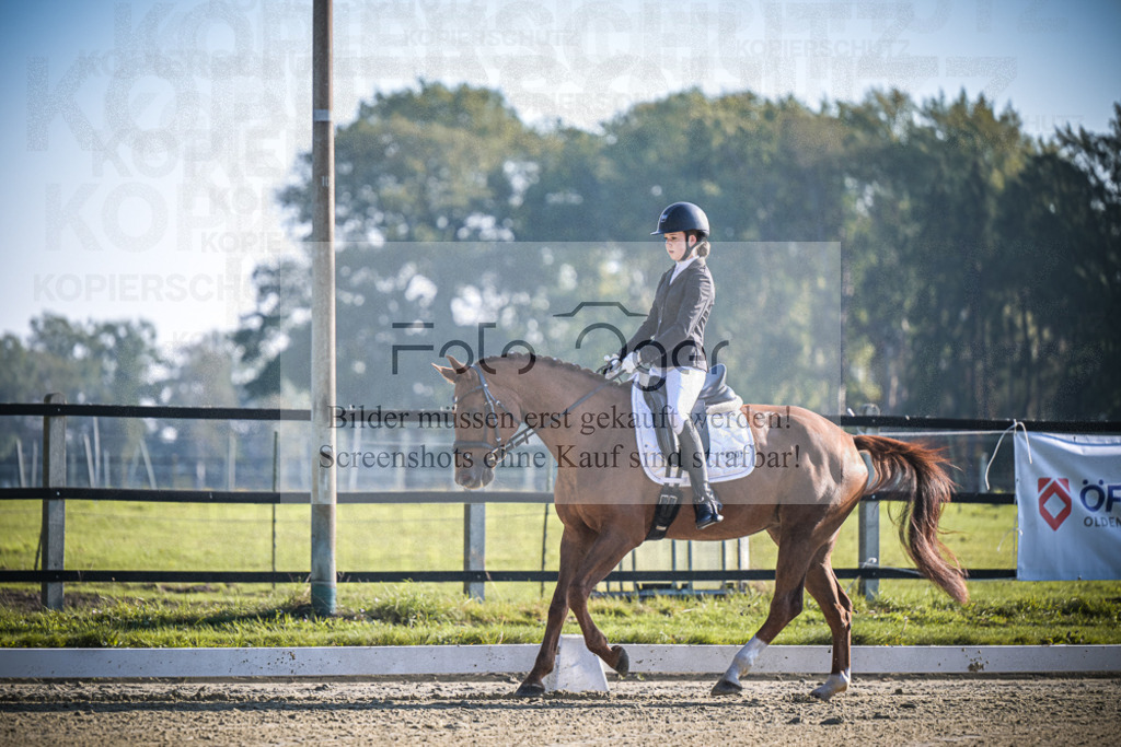 DOS_0947 | Entdecke hochwertige Reitturnierfotos von Foto Oger. Professionell, emotional und authentisch – jetzt Lieblingsmomente im Shop bestellen.Deutschlandweite Turnierfotografie. - Realisiert mit Pictrs.com