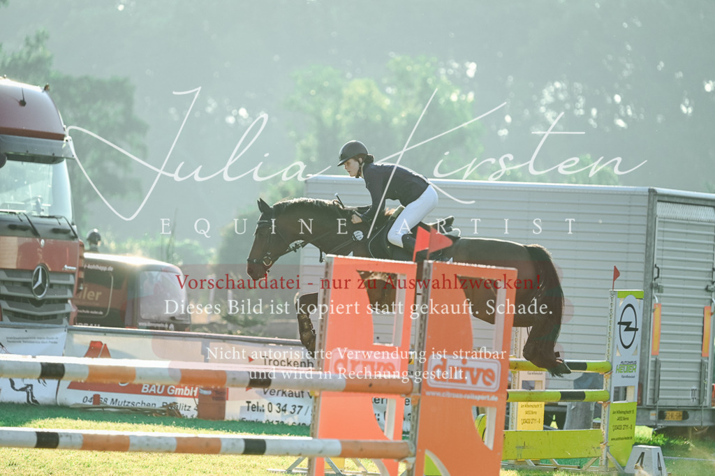 DSC_3970 | Pferde- und Turnierfotografie in Westsachsen. Pferdeportraits, Auftragszeichnungen und intuitive Kunst.
