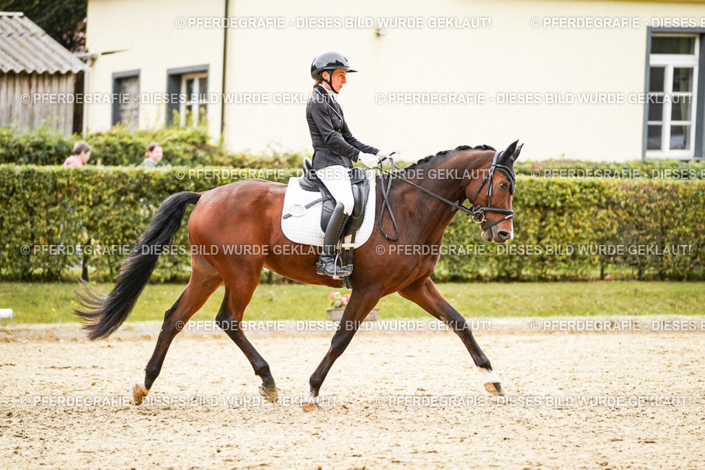 DSC02351 | Pferdegrafie