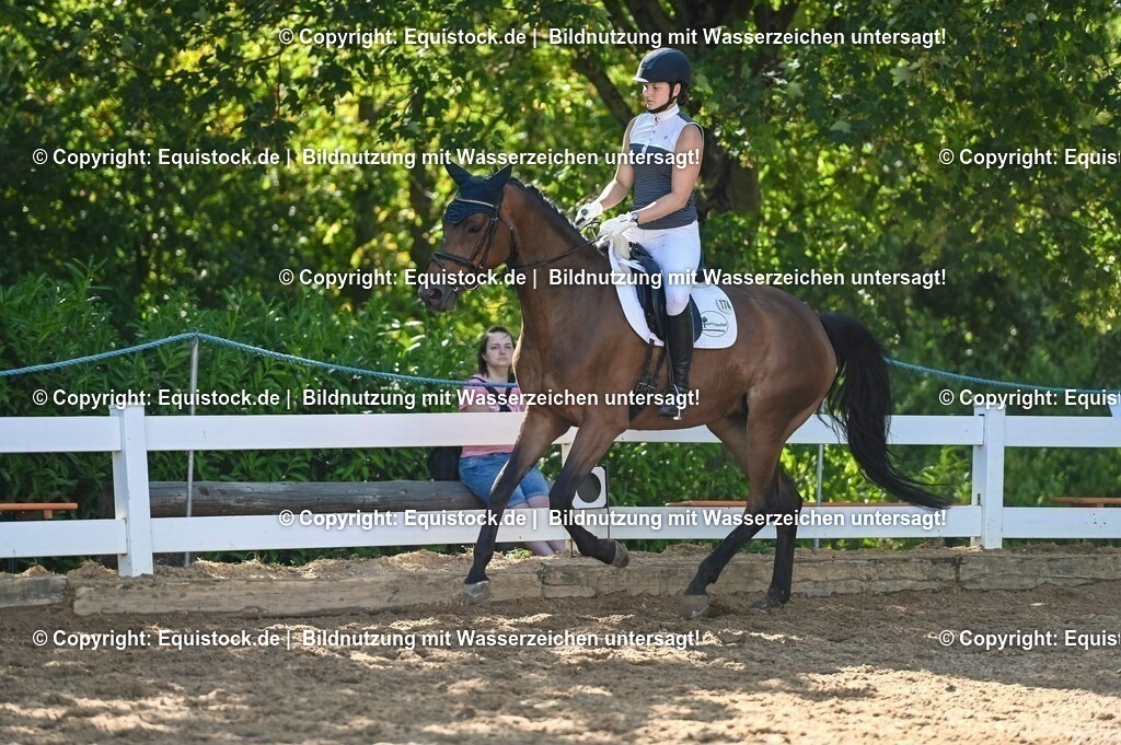 20230715_06_Dressurpferdeprfg. Kl.A_0404 | equistock