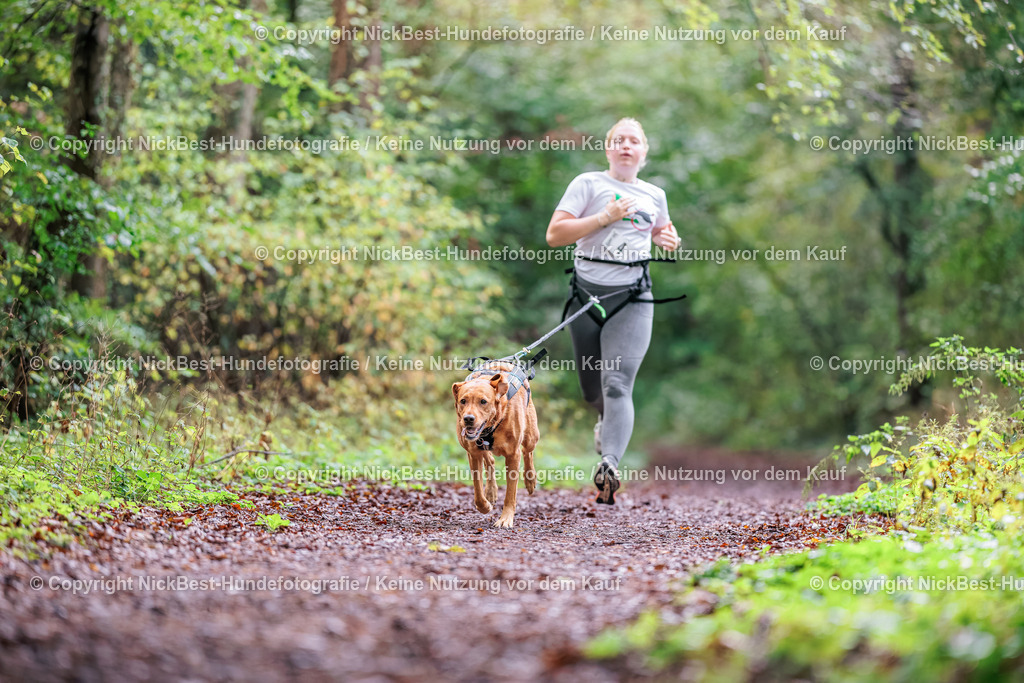 THS-HSV-Blumenthal-2026-Nickbest-Hundefotografie-0580 | Dein Hund! Dein Moment! Deine Erinnerungen! Hundefotografie in Bremen Blumenthal. Ich fange die besonderen Momente deines Vierbeiners ein – ob Indoor mit Blitzanlage oder in der freien Natur. Sicher dir dein Moment und dein Termin für eure Erinnerungen.