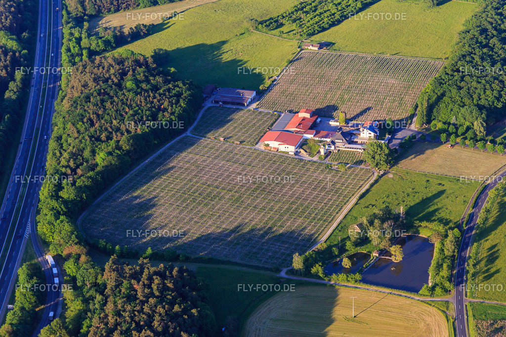 Weingut Behringer http://www.weingut-behringer.de/ | Luftbild: Weingut Behringer http://www.weingut-behringer.de/ in Abtswind im Bundesland Bayern in Deutschland. Foto: IMG_100389.jpg vom 27.05.2017 durch Werner Riehm/FLY-FOTO.de - Realisiert mit Pictrs.com