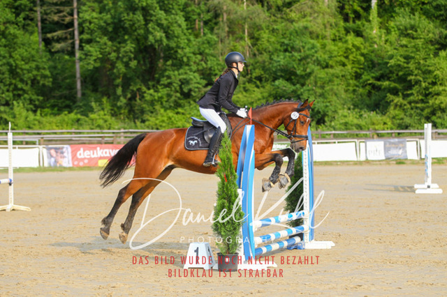 DKP40961 | Turniersportfotografie; Pferdefotografie; Dressurfotografie