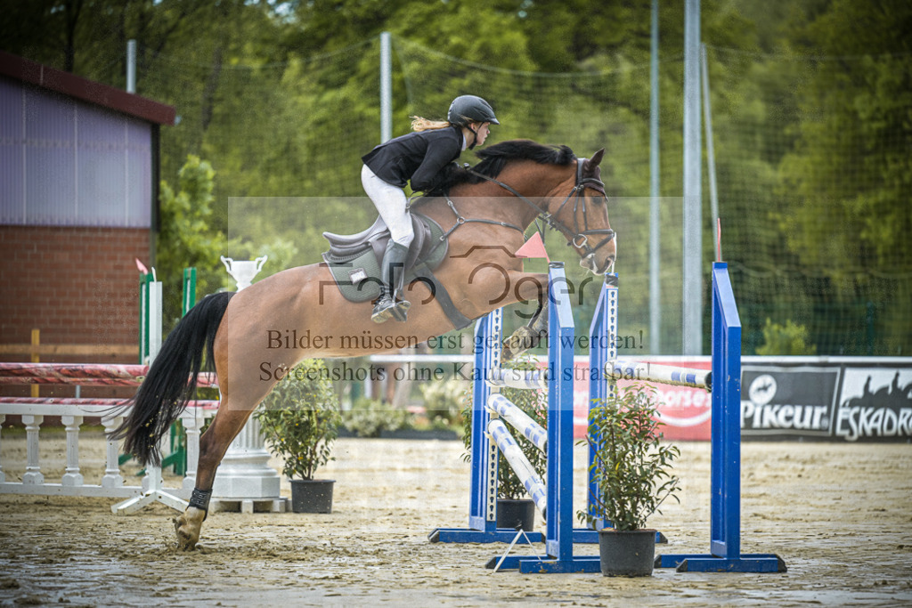 DOS_5798 | Entdecke hochwertige Reitturnierfotos von Foto Oger. Professionell, emotional und authentisch – jetzt Lieblingsmomente im Shop bestellen. - Realisiert mit Pictrs.com