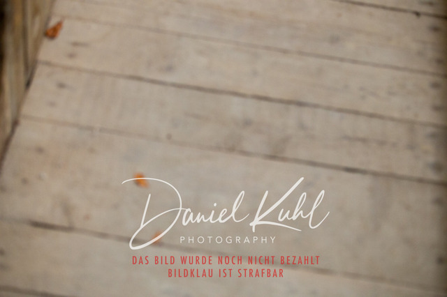 IMG_1834 | Turniersportfotografie; Pferdefotografie; Dressurfotografie