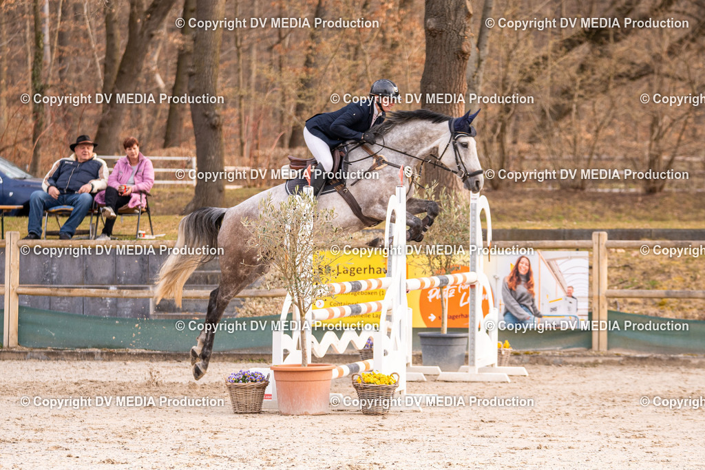 Kranichstein Tag 2-1393 | dv-media-shop - Realisiert mit Pictrs.com