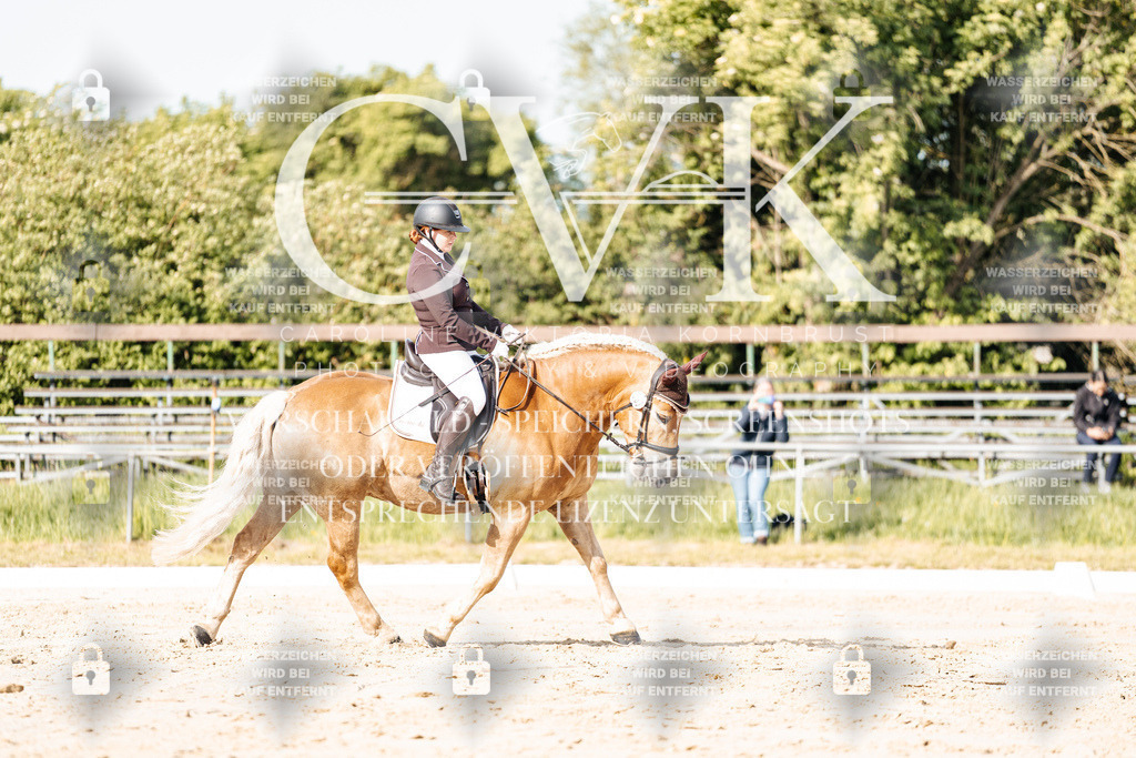 CK900190 | Turnierfotografie Pferdefotografie Trier Rheinland-Pfalz Pferdesport Reitsport Tierfotografie Sportfotografie Pferdevideo Pferdevideografie Equestrianvideography equestrianphotography  - Realisiert mit Pictrs.com