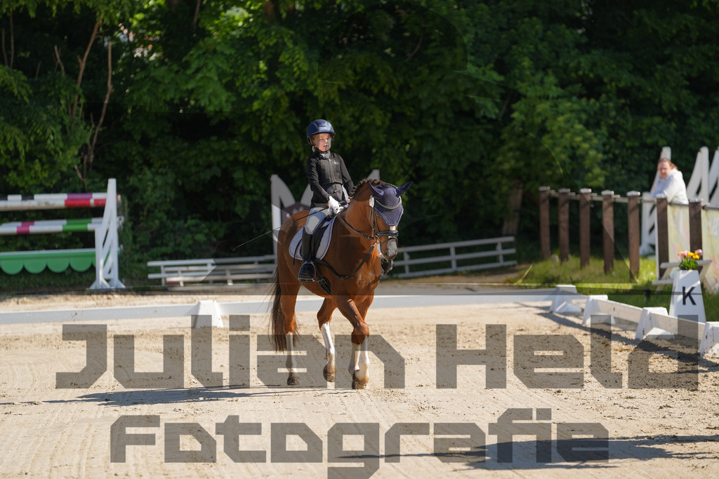 DSC02931 | Julian Held Fotografie - Realisiert mit Pictrs.com