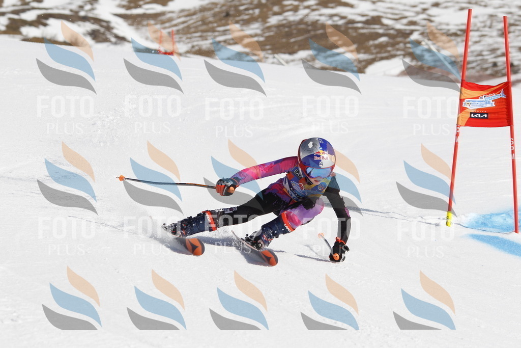 _U3G9210 | holidayphoto