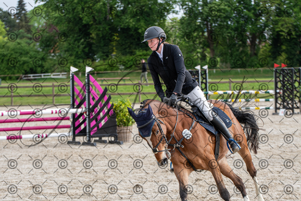 KPT_7777 | andre_photographic