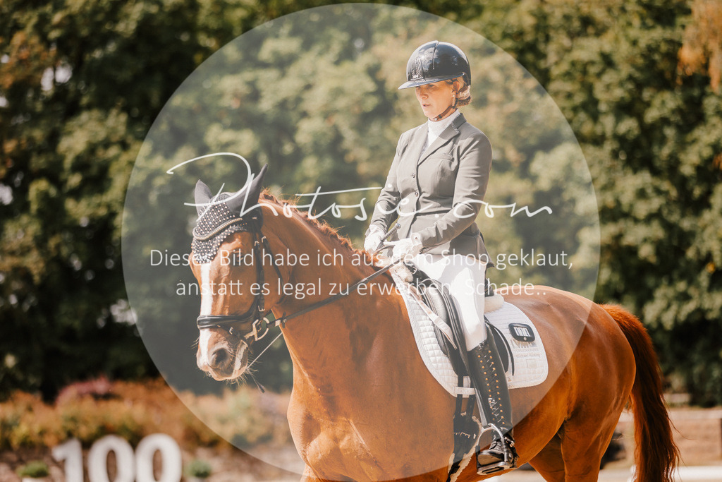 3I6A6062 | Stimmungsvolle Portraits und Reitsportfotografie im Ruhrgebiet und im Münsterland.

Pferdefotografie, Hundefotografie, Tierfotografie, Reportagen, Portraits von Tier und Mensch, Turnierfotografie in Bochum, Recklinghausen, Marl, Haltern am See, Dülmen.. - Realisiert mit Pictrs.com