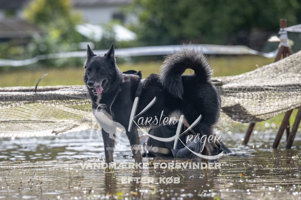 1331_ZZ90031 | kk-dogfotos