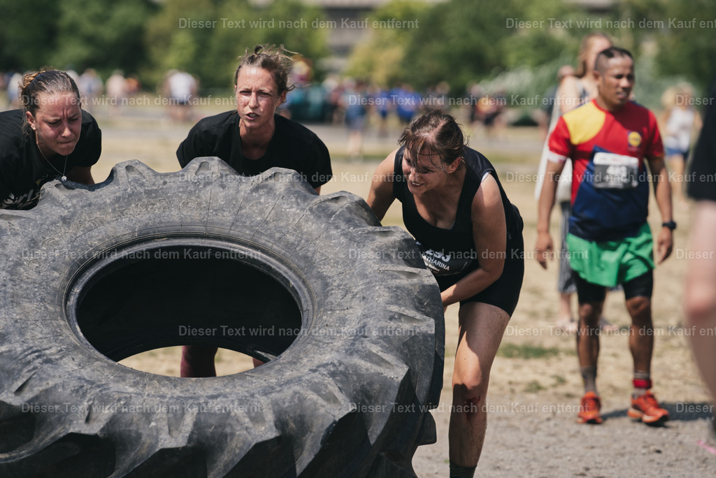 rocktherace_et_2026_09_24-288 | Shop für Fotos von Sportevents z.B. Obstacle Course Racing, OCR, Triathlon, Trail Run und MTB - Realisiert mit Pictrs.com