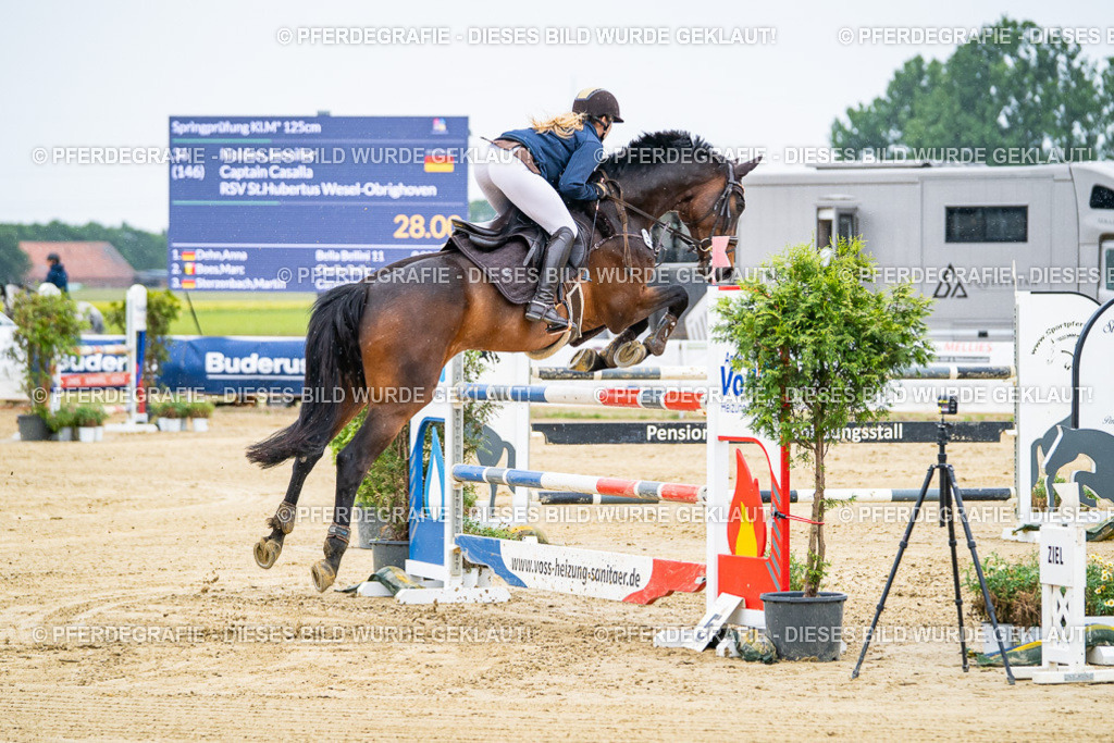 DSC07724 | Pferdegrafie