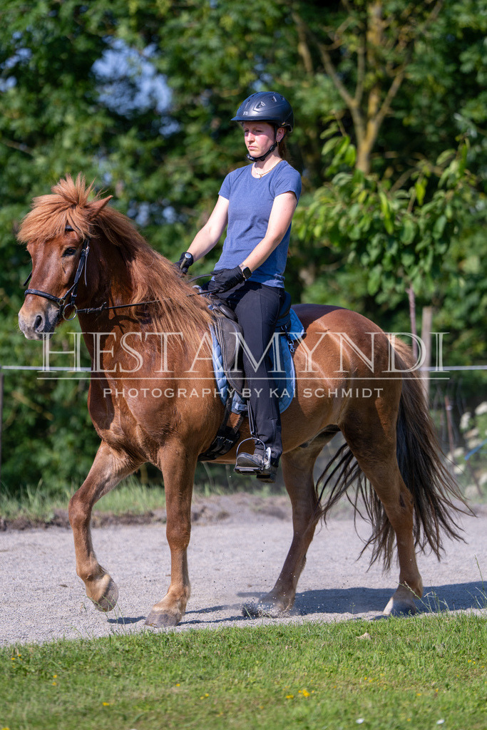 KAI06993 | Ihr sucht einen Fotografen für eure nächste OSI? Ich begleite auch euer Turnier für Islandpferde fotografisch.  - Realisiert mit Pictrs.com