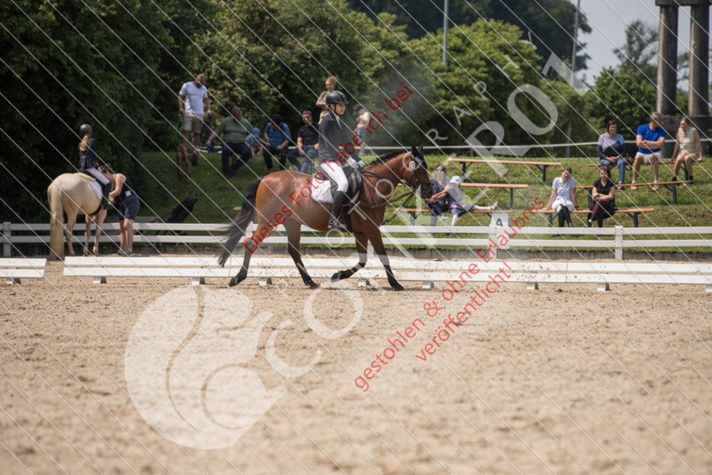 IMG_3552 | Sport-, Event- und Tierfotos in Profiqualität. Einfach auswählen, bestellen und herunterladen. Dein Moment – perfekt festgehalten.