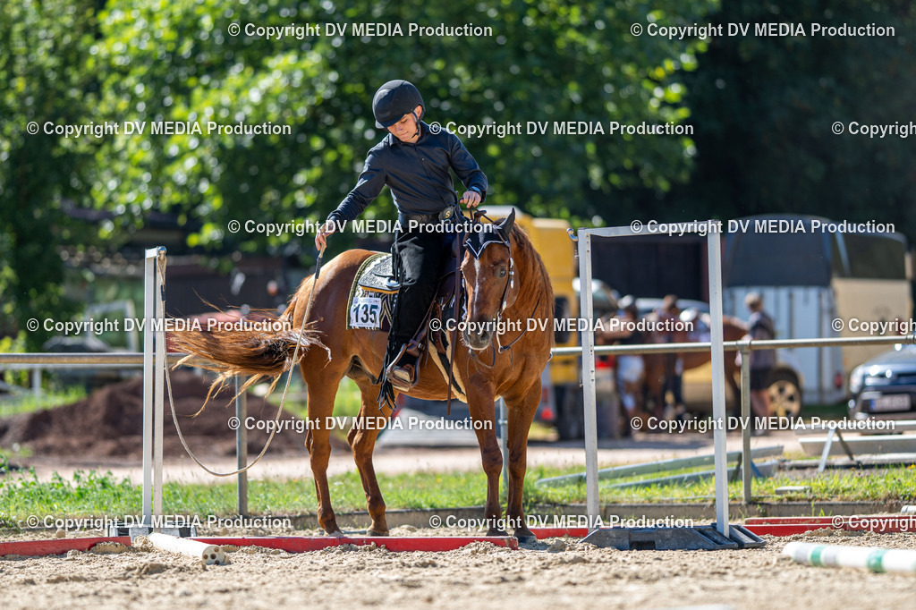 LM Heiligenwald Tag 1-515 | dv-media-shop - Realisiert mit Pictrs.com